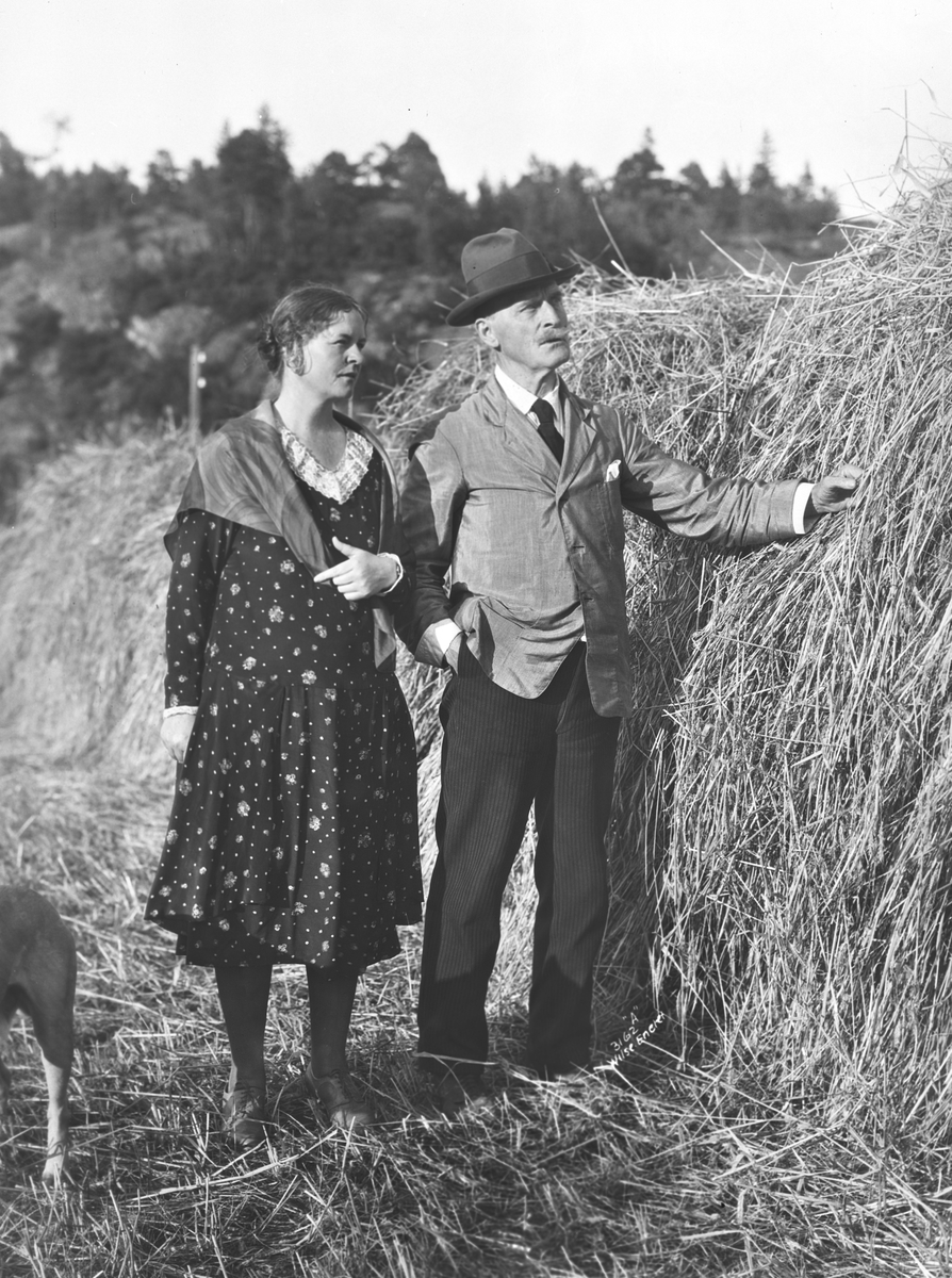 Anders Beer Wilse, Prot: Hamsun Knut og frue 7/8