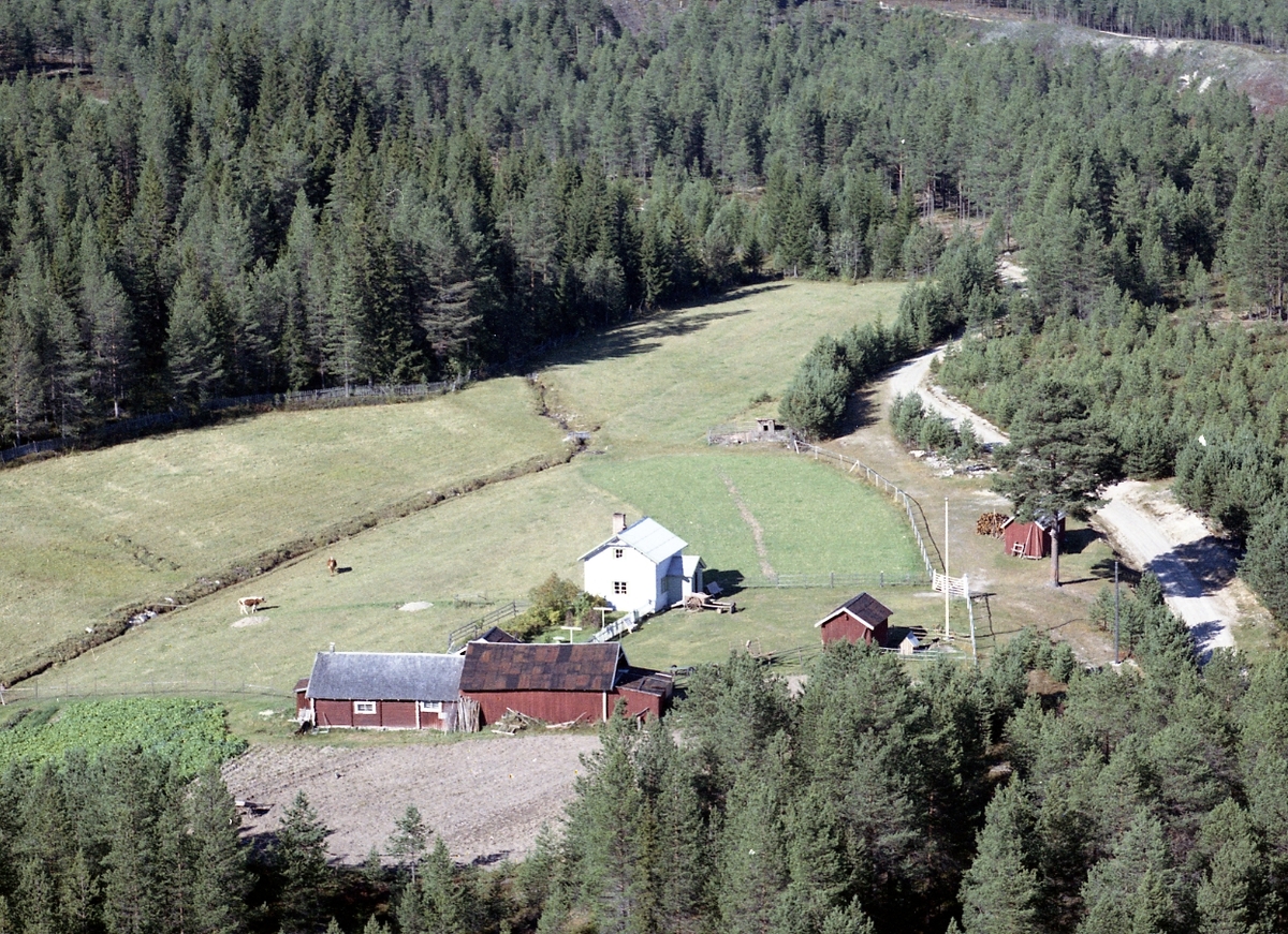 Widerøes Flyveselskap A/S, Gardsbruk