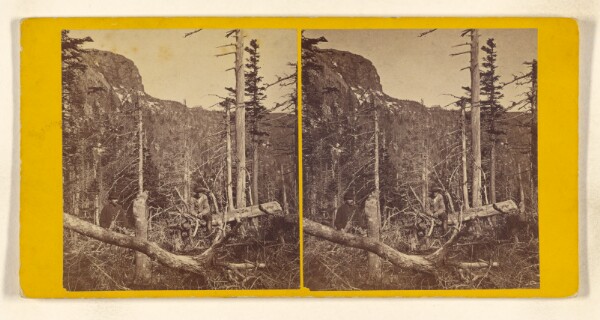 John B. Heywood, First View of Summit House from Bridle Path. [Green Mountain]