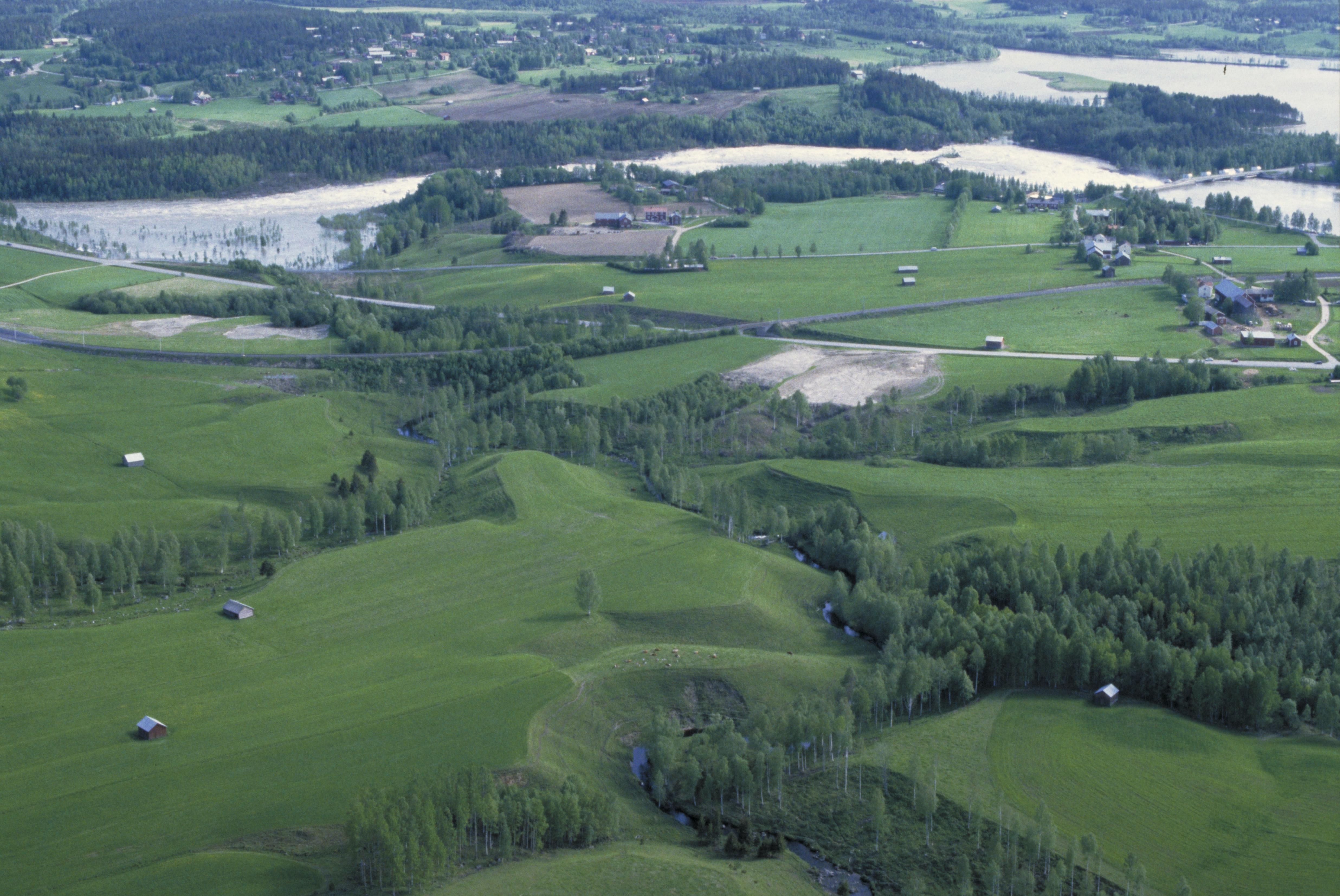 Jan Norrman, Umeå stad 365:1