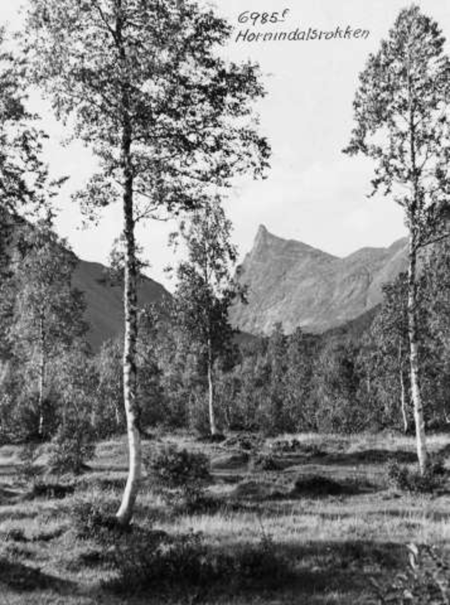 Anders Beer Wilse, -6782