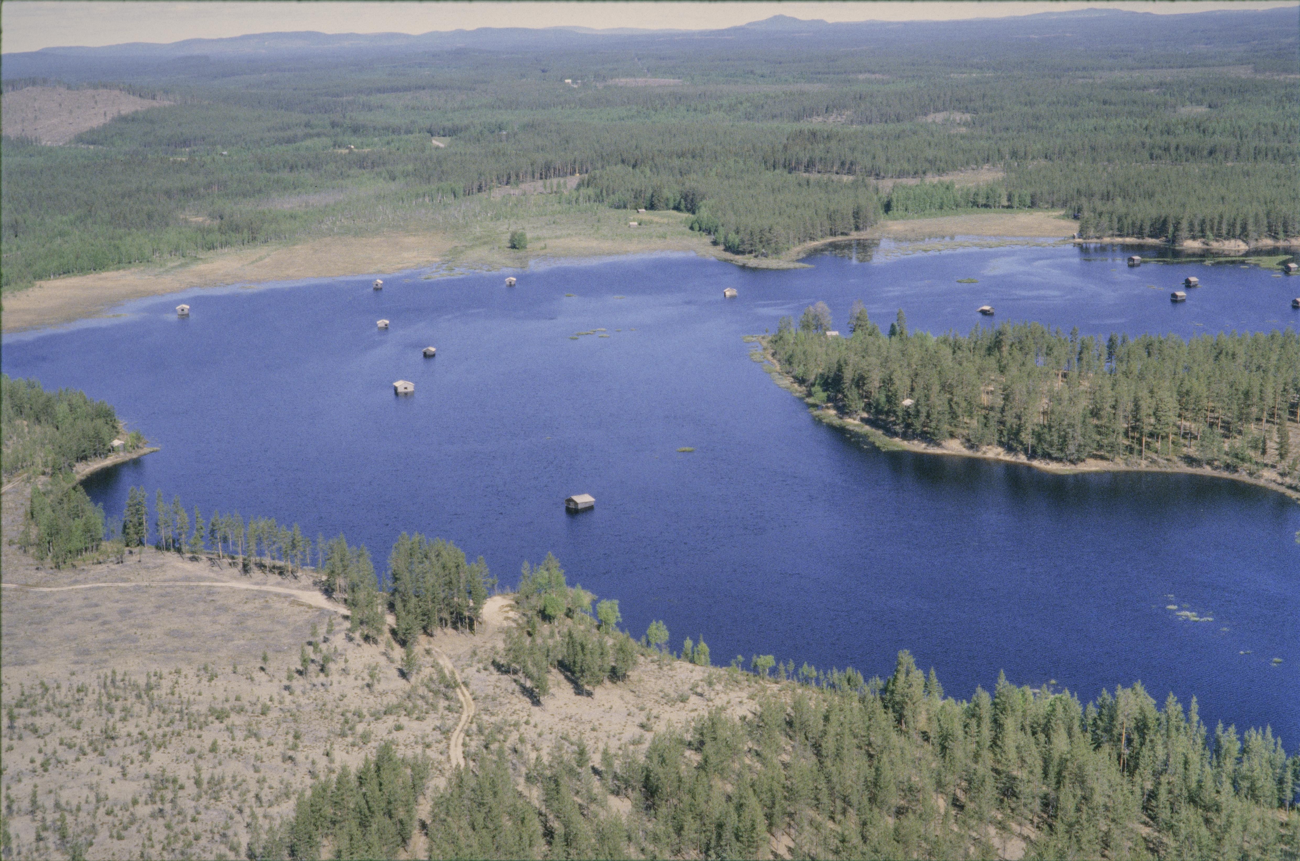 Jan Norrman, Svansele dammängar