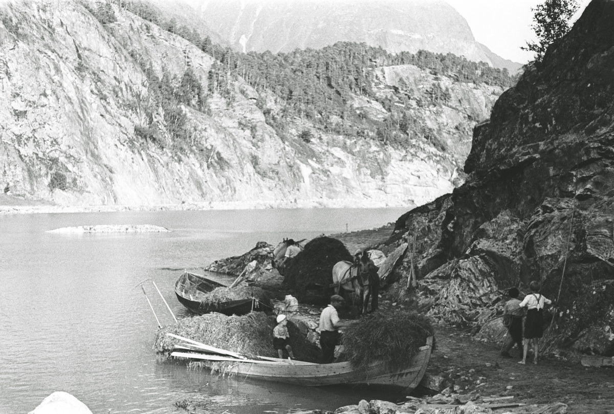 Anders Beer Wilse, Prot: Loenvann. Höitransport