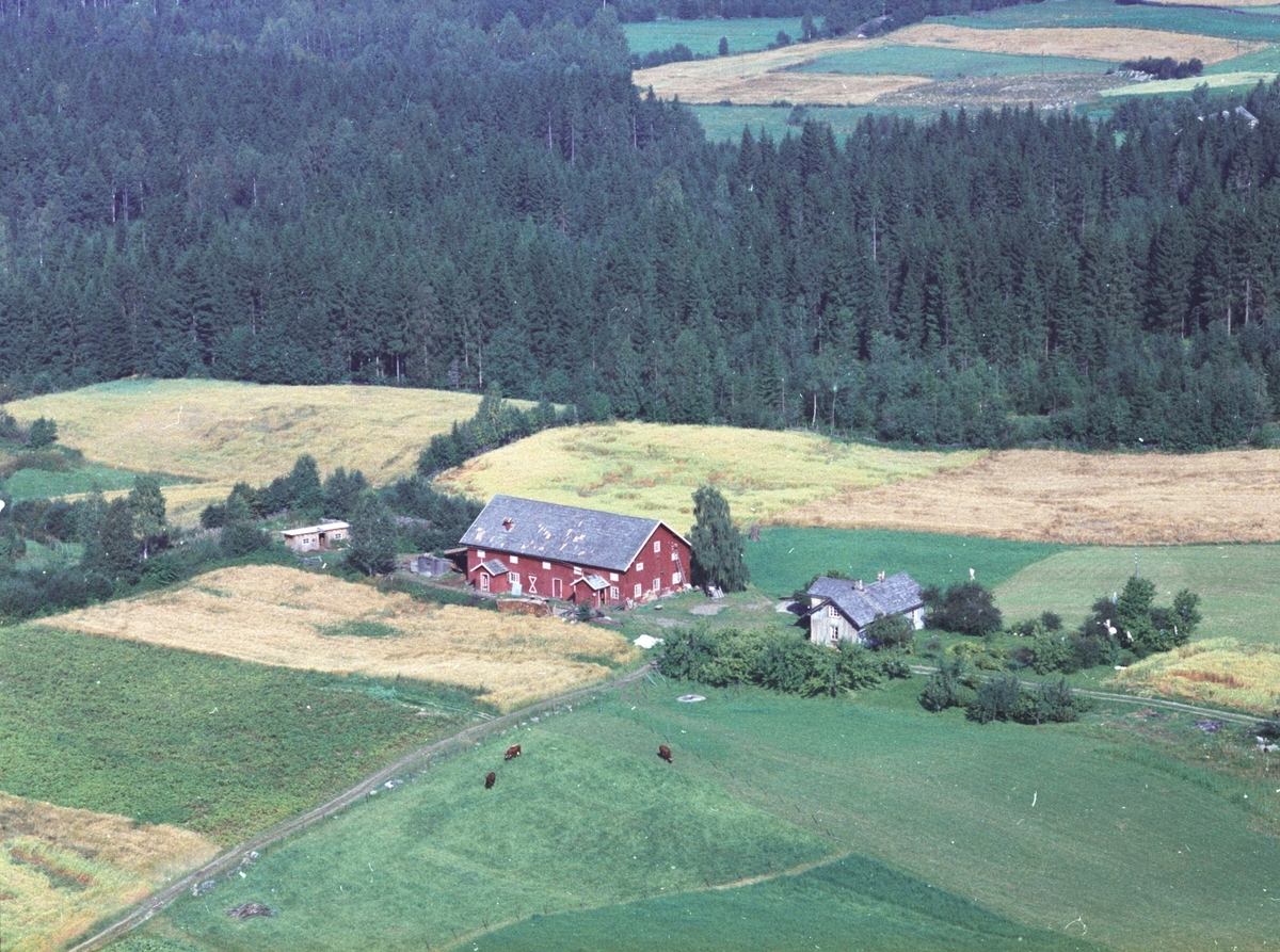 Widerøes Flyveselskap A/S, Flyfoto, Engom, Gaupen, Ringsaker.