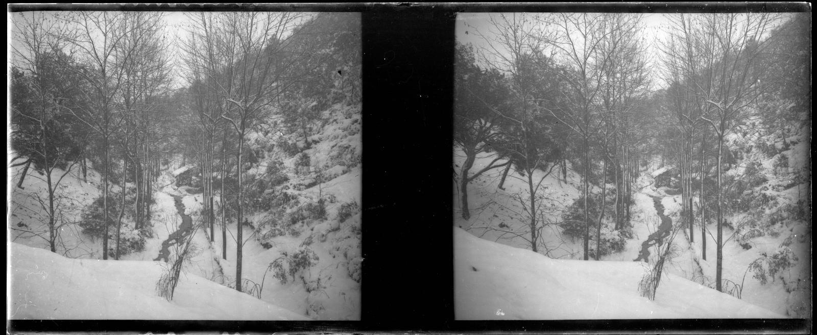 Desconegut, [Bosc nevat als entorns de la riera de Vallvidrera]