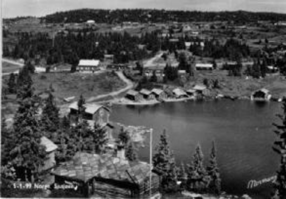 Anno Domkirkeodden, Utsikt ov Sjusjøen med hyttebebyggelse. Landskap, båtnaust. Sommer.