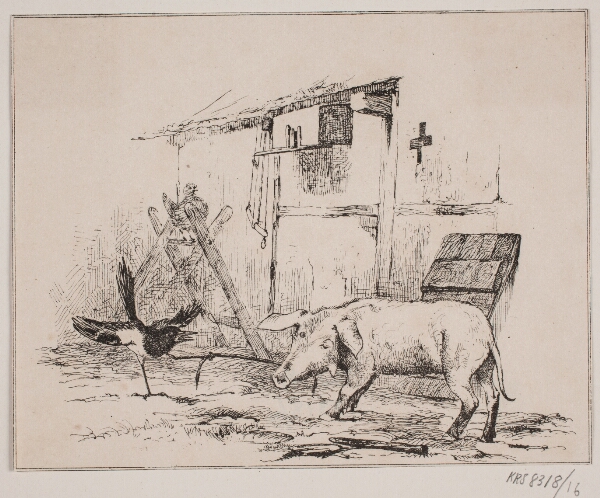 Adolph Kittendorff, Skaden og grisen