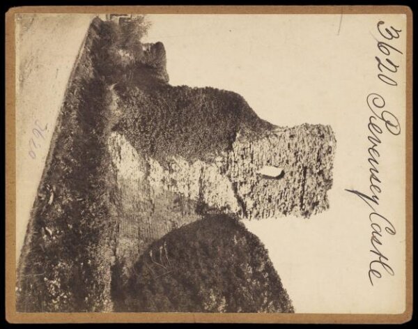 Francis Frith, Photograph