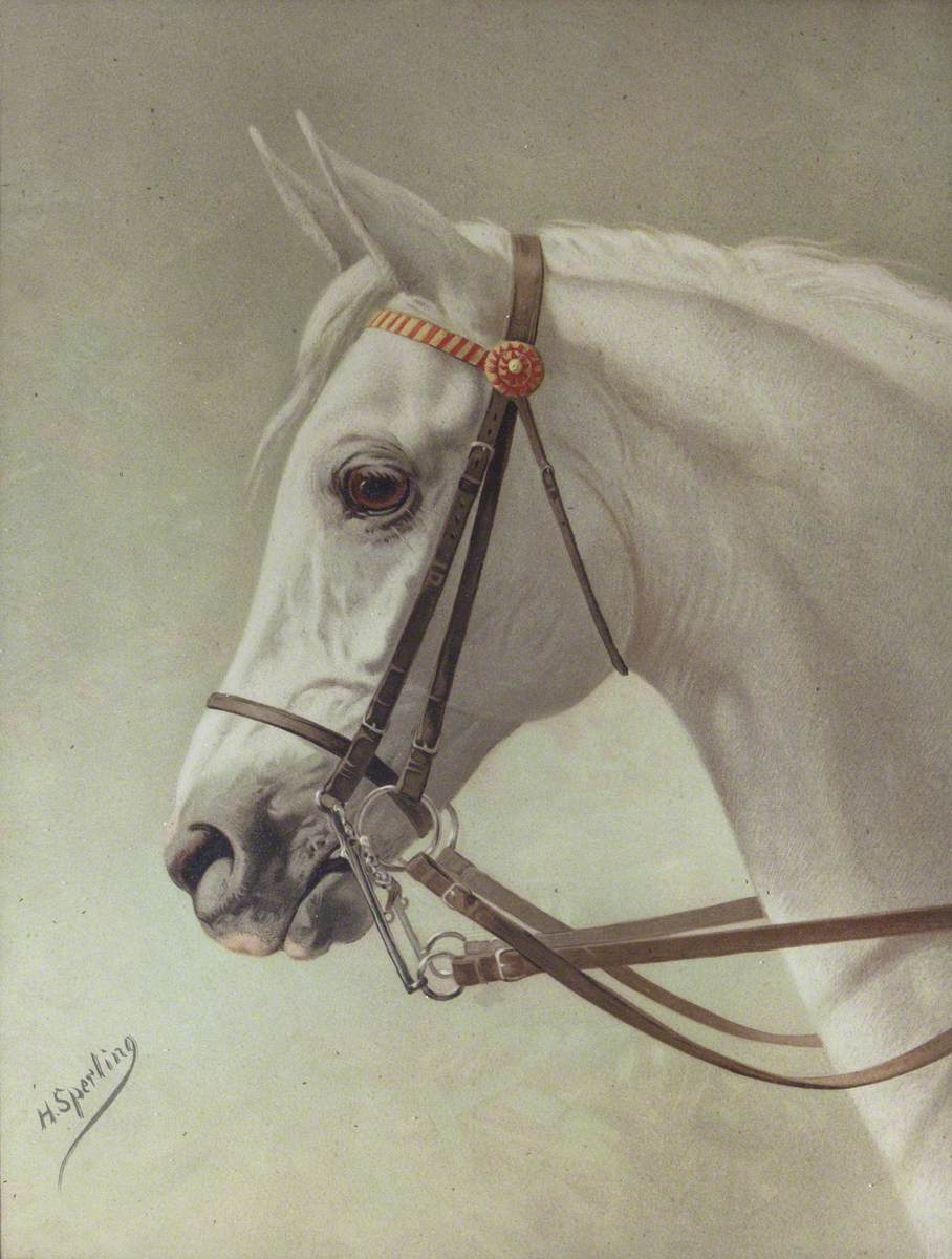 Heinrich Sperling, Head of a White Horse