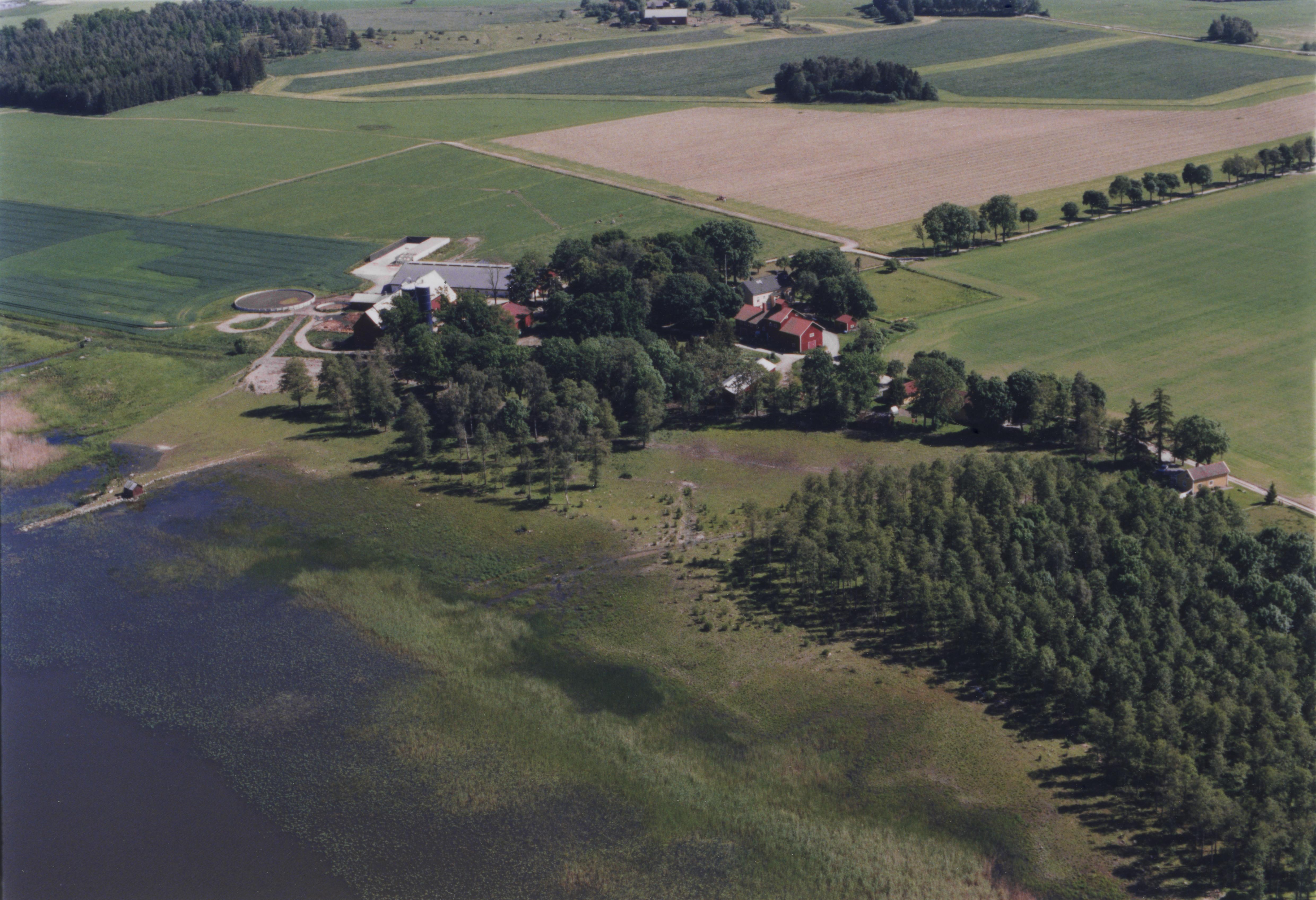 Jan Norrman, Stigtomta 135:1