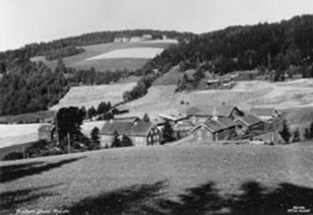 Anno Domkirkeodden, Dæli gård, Brøttum, Ringsaker.