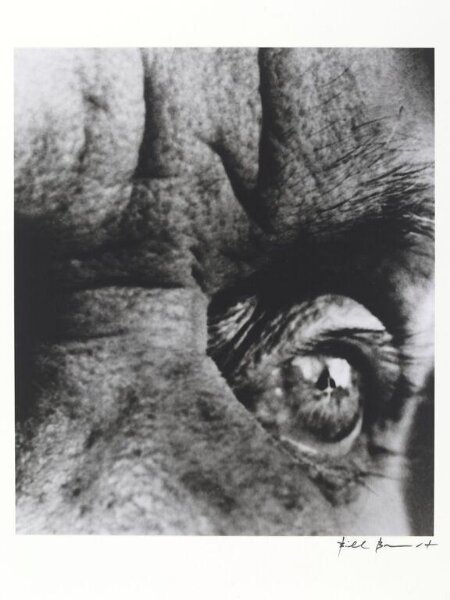 Bill Brandt, Max Ernst's Left Eye