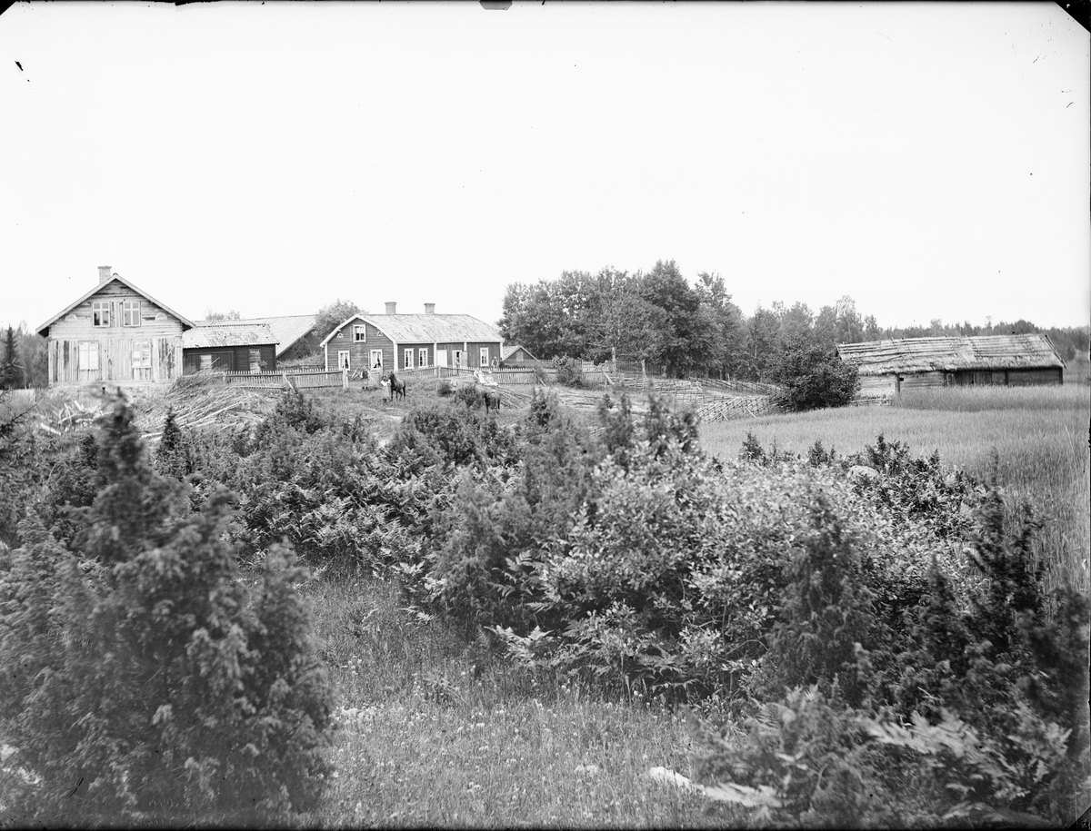 Skötsner-Edhlund, Farm, Kanikebol, Hargs parish, Uppland