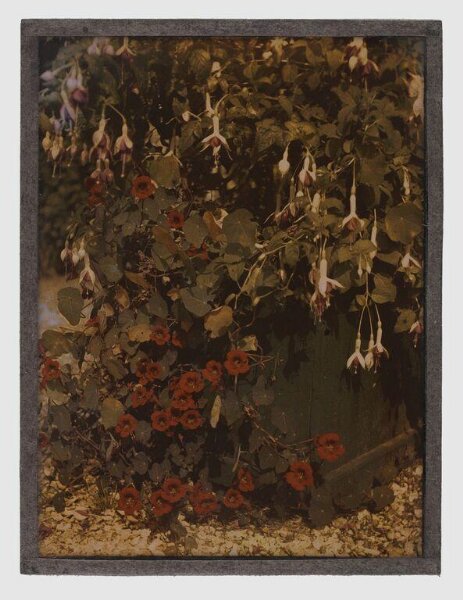 Unknown, Garden study