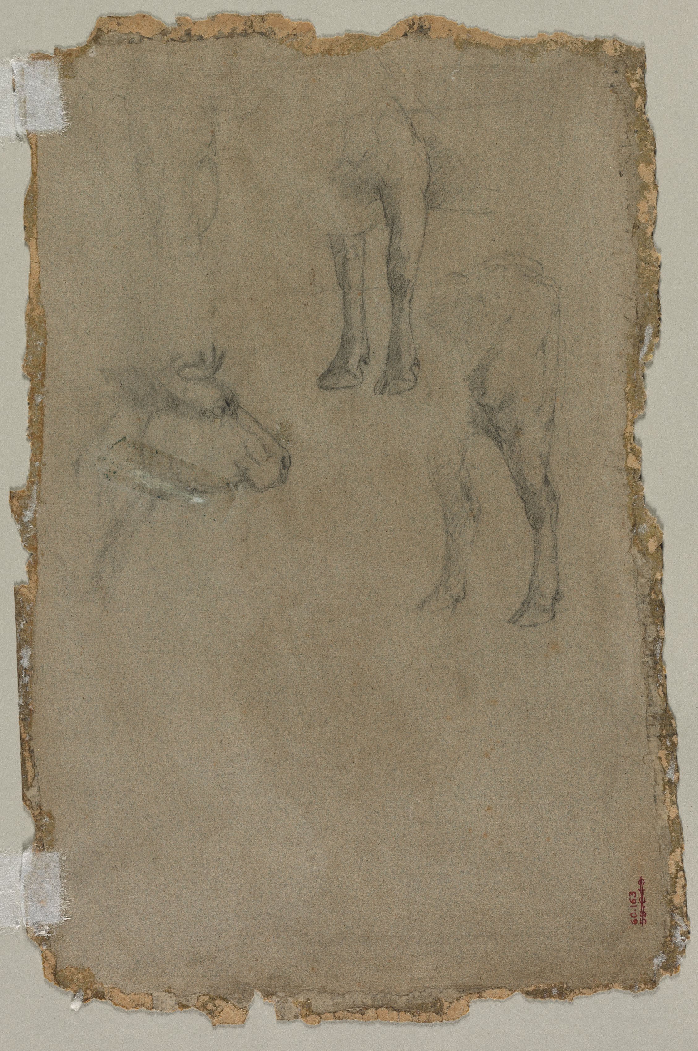 Johan Barthold Jongkind, Studies of a Bull (verso)