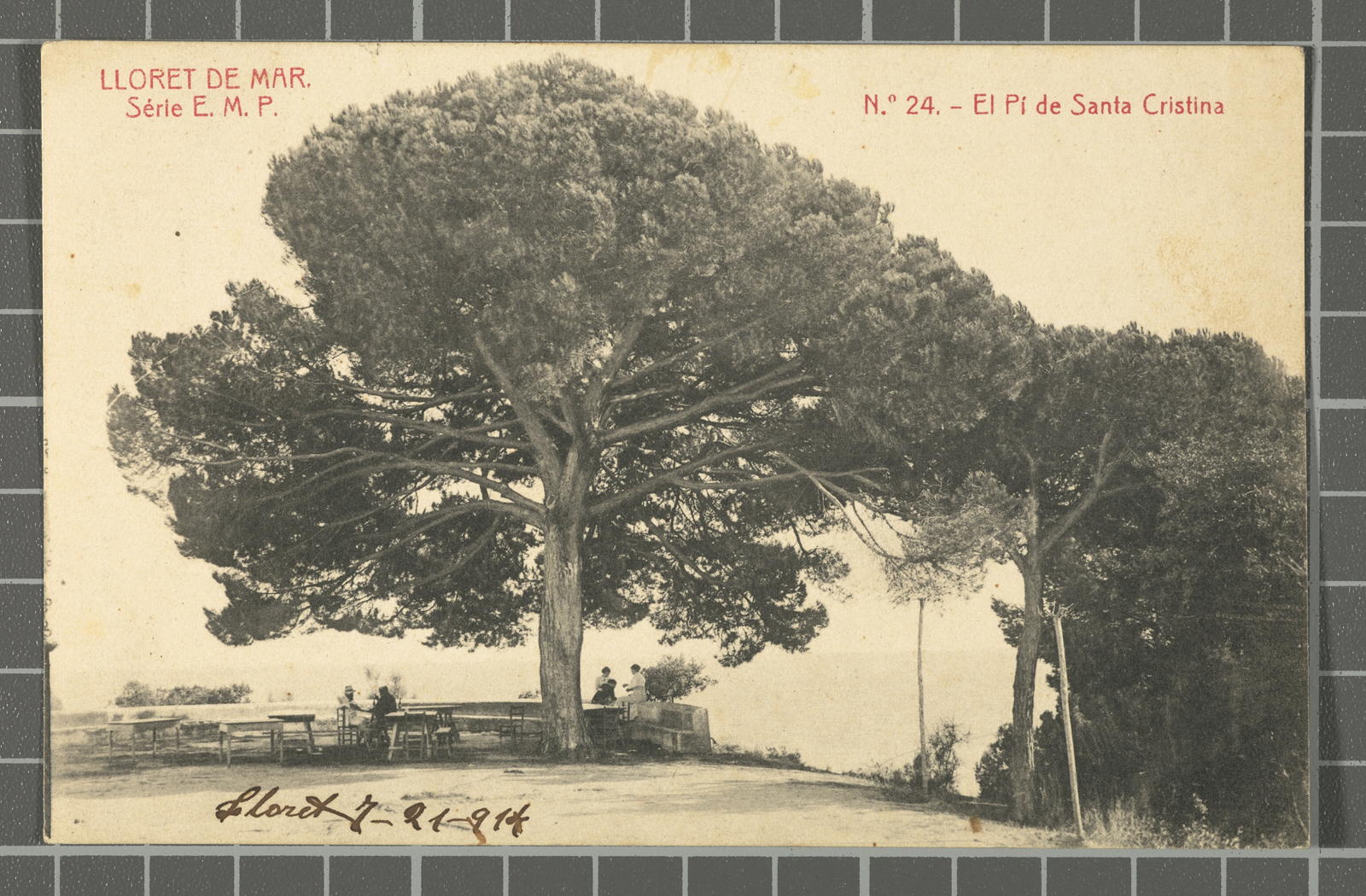 Desconegut, Lloret de Mar. Série E. M. P. No. 24. - El Pino de Santa Cristina