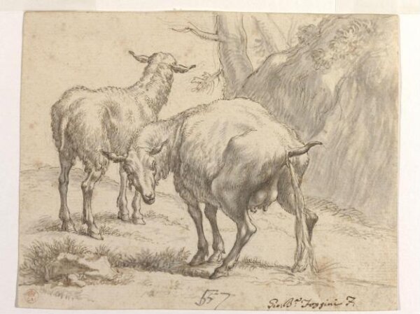 Nicolaes Berchem, Two Sheep, One Pissing