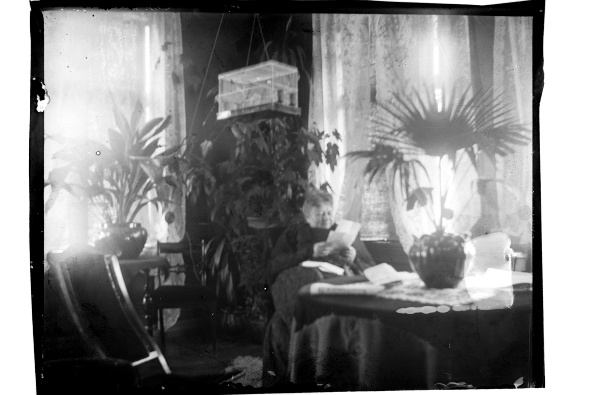 Rolf Sr. Sundt, Anna Christiane Sundt i stuen i sitt hjem i Kirkegaten 1, Farsund.
