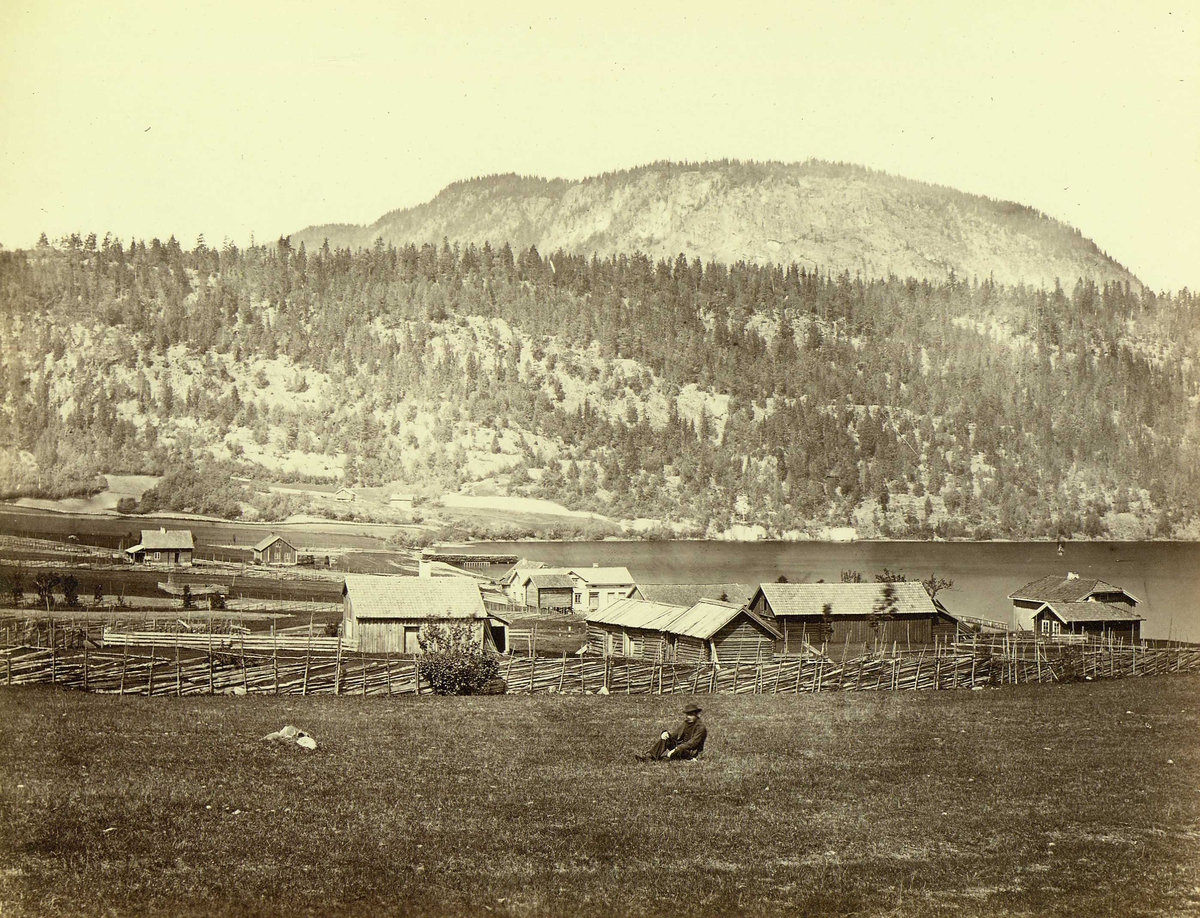 Henry Rosling, Landskap, Svangstrand, Lier, Buskerud, ved Holsfjorden, sidefjord til Tyrifjorden, med gårdstun i forgrunnen. Fra serie norske landskapsfotografier tatt av den engelske fotografen Henry Rosling (1828-1911).