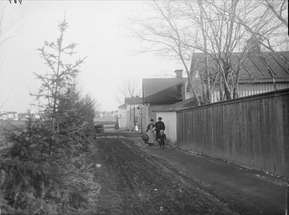 Alfred Dahlgren, Seminariegatan från Prästgatan, Luthagen, Uppsala 1908