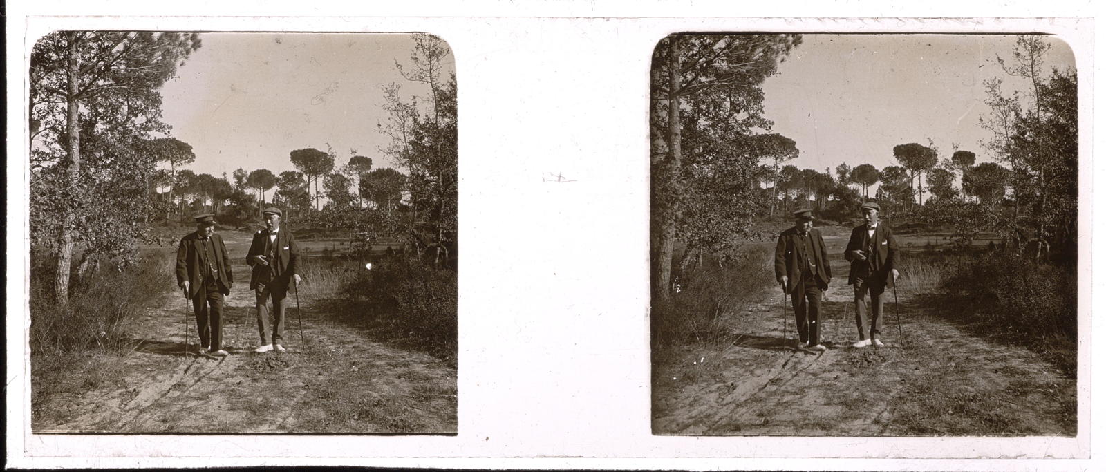Desconegut, [Bosc de La Granja]