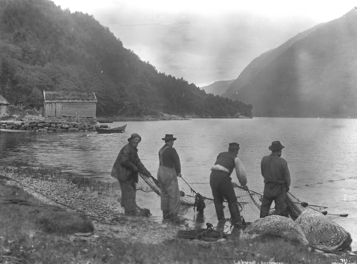 Anders Beer Wilse, Prot: Laksefisking i Hardanger Juli 1903