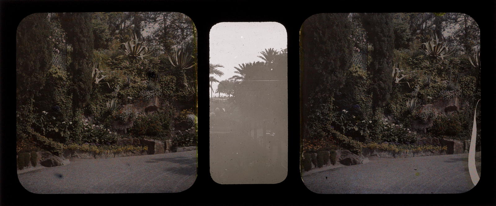 Desconegut, [Jardins]