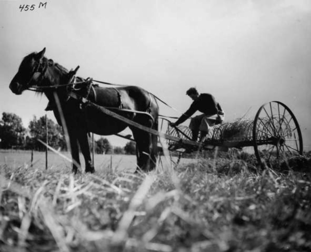 Anders Beer Wilse, -8036