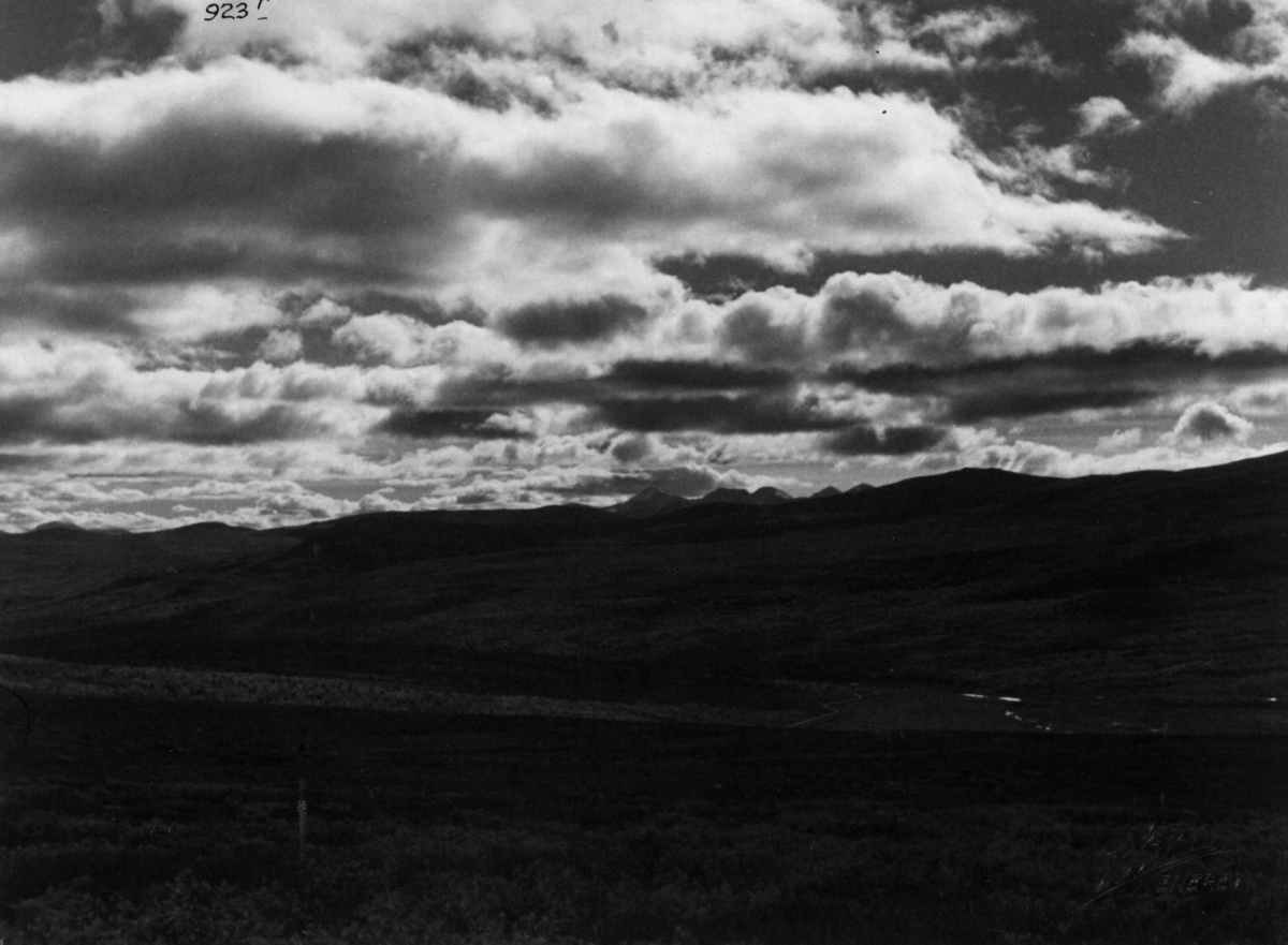 Anders Beer Wilse, Fjellvidde