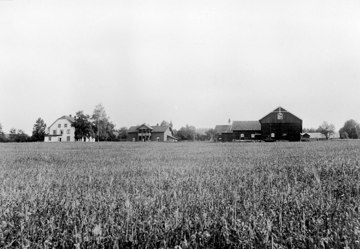 Anno Domkirkeodden, Eskerud, Helgøya med alle de gamle bygninger. Tømmerlåven til høyre brant ned i 1949. Hovedbygningen til venstre ble revet ca. 1938.