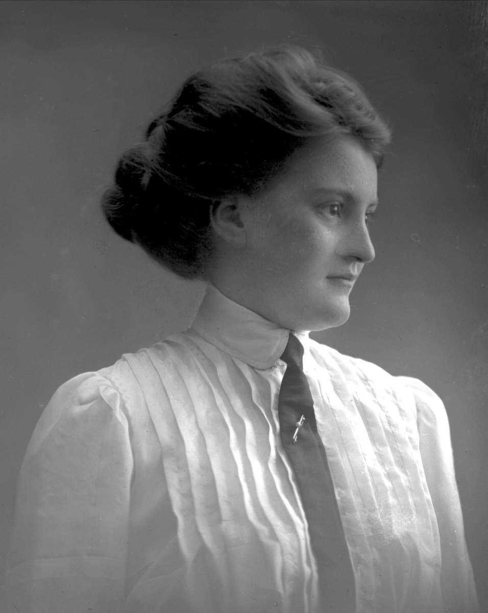 Gustav Borgen, NFB.29329
