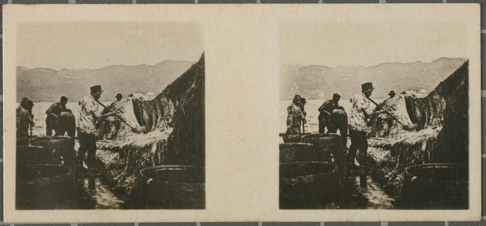 Desconegut, N.º 160. Faskrudfjördur - Ballenería - Extracción de grasa.