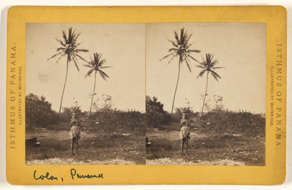 Eadweard J. Muybridge, Colon (Aspinwall.) Road along the Beach.