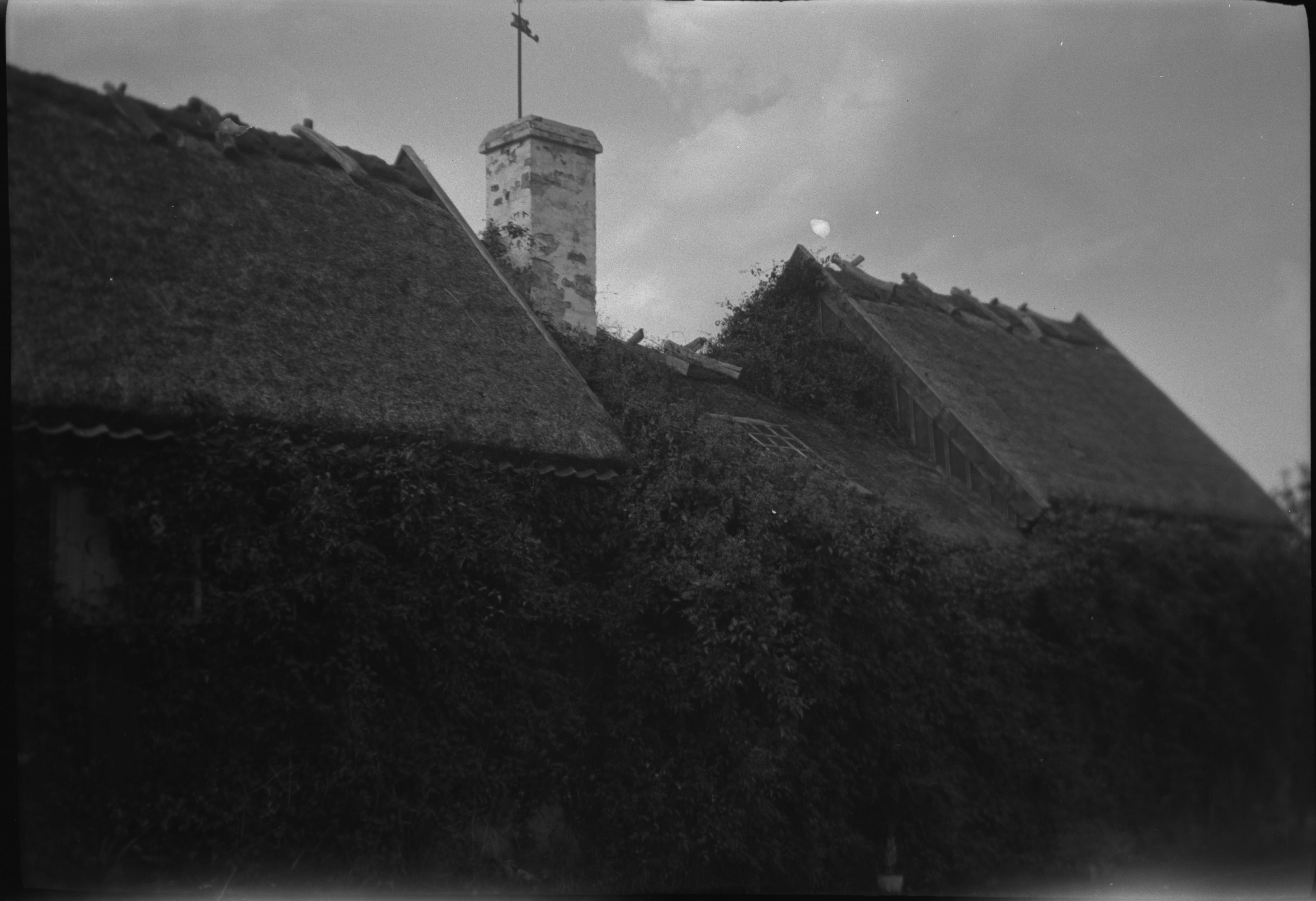 Berit Wallenberg, Båstad