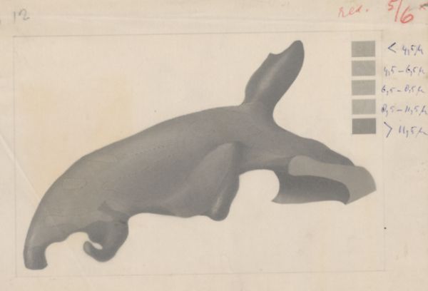 J Tinkelenberg, Part of the respiratory or digestive system