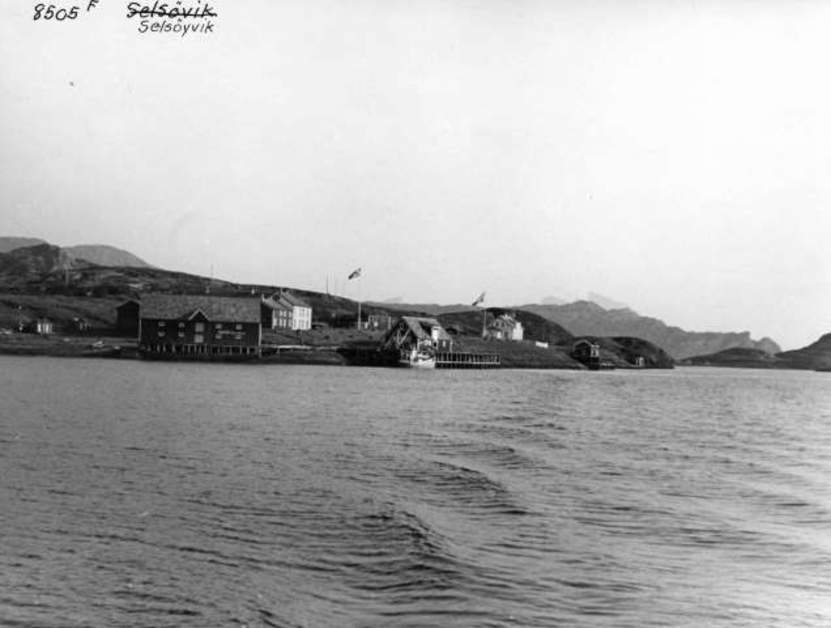 Anders Beer Wilse, -5845