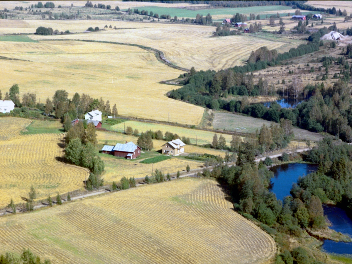 Widerøes Flyveselskap A/S, Flyfoto, Langgutua, Klæpaområdet, Svartelva. Ådalsbruk. (Klevbakken 222) Løten. Nærmeste gård heter Nysted (gnr. 199, bnr. 8)