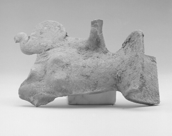 Unknown, Female Head