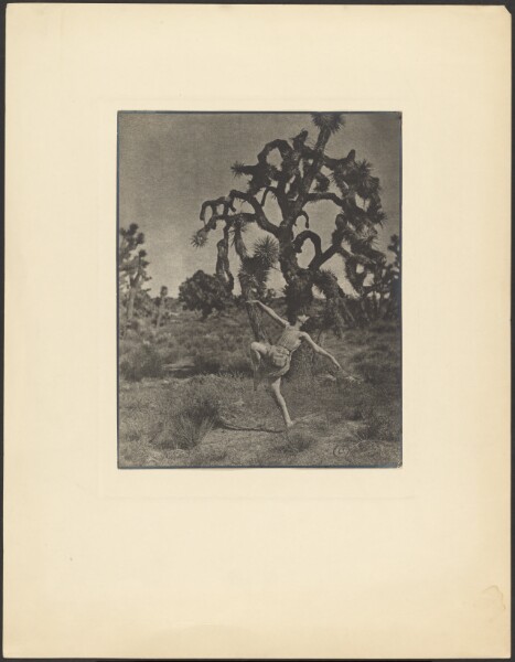 Louis Fleckenstein, Inspiration of the Dance