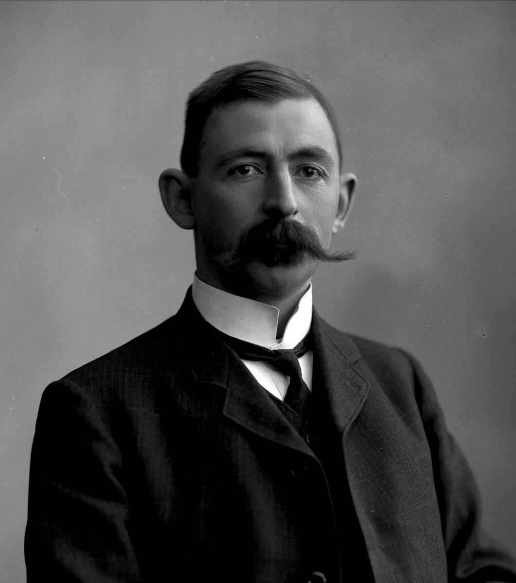 Gustav Borgen, Portrett, mann med bart.
