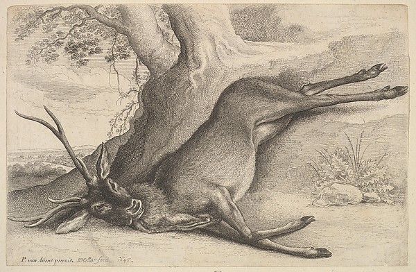 Wenceslaus Hollar, Dead stag