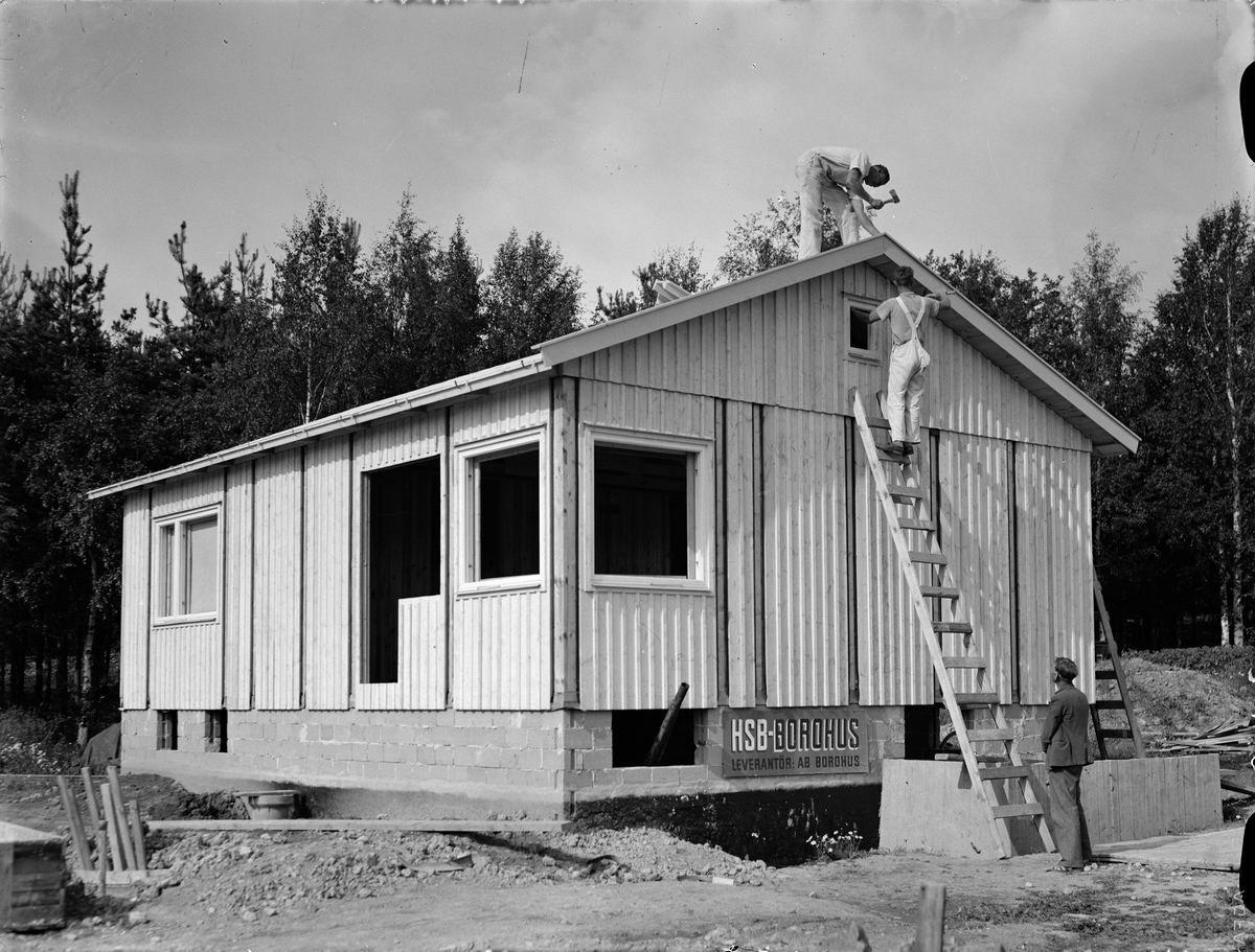 Paul Sandberg, Egnahem under construction in the Outer Black basin