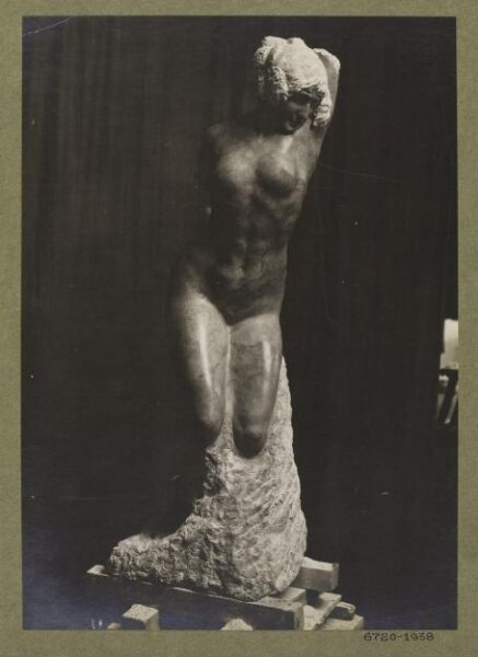 unknown, Photograph