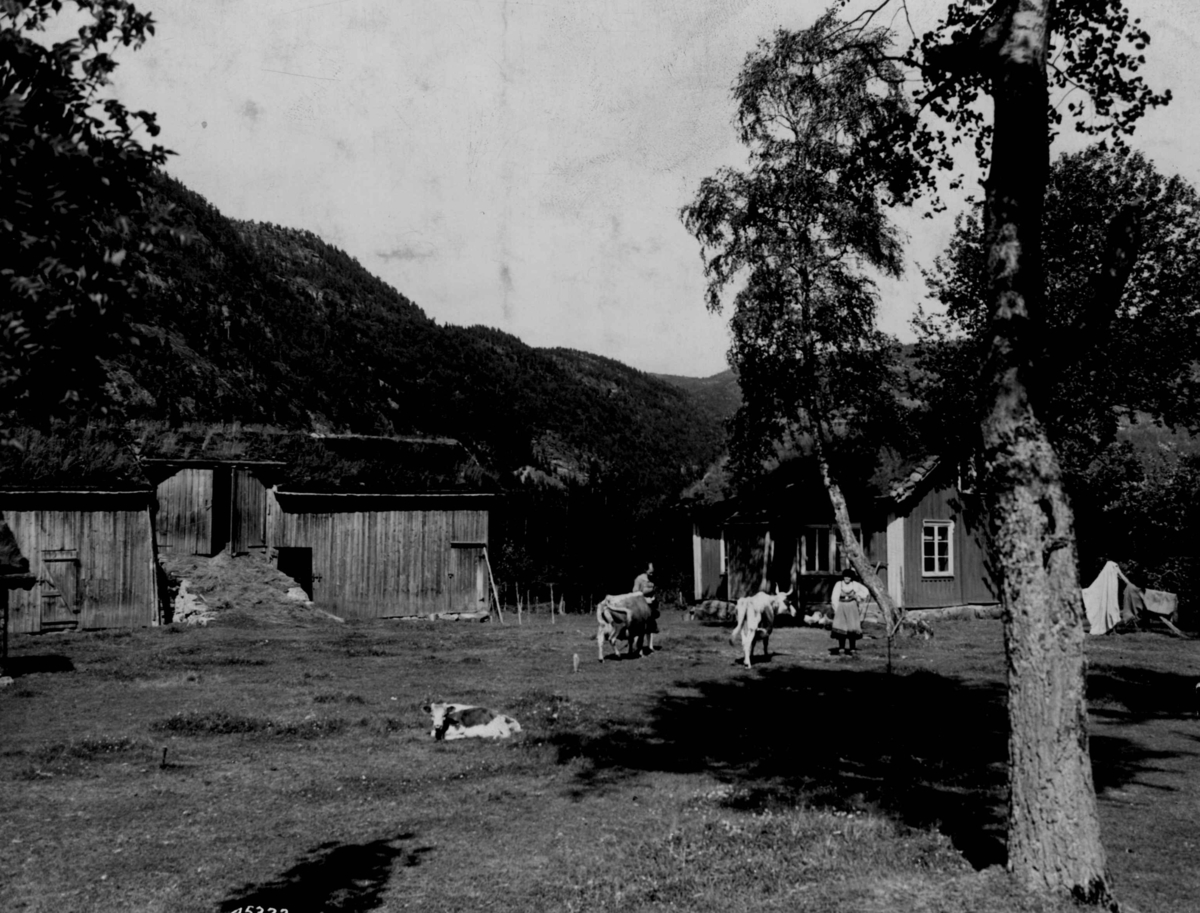 Anders Beer Wilse, Bebyggelse, husdyrhold.