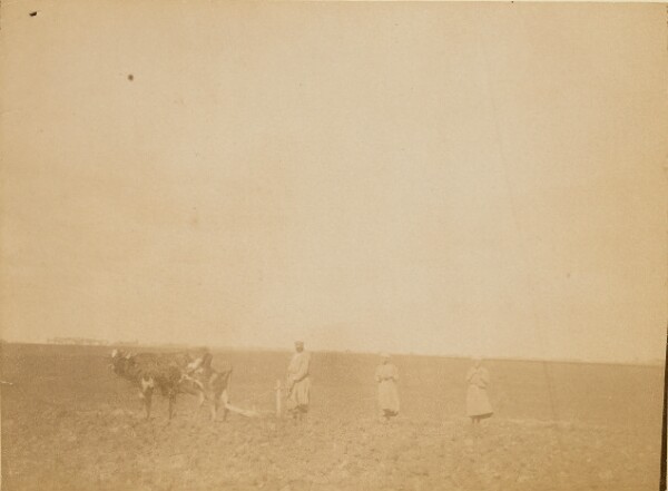 Unknown, [Man plowing]