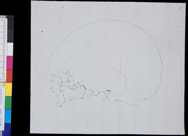 Gerard Sandifort, Skull, side view (legend)