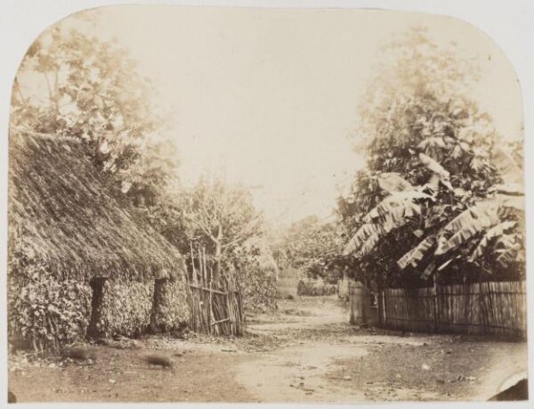 Kerr, Henry, Photograph