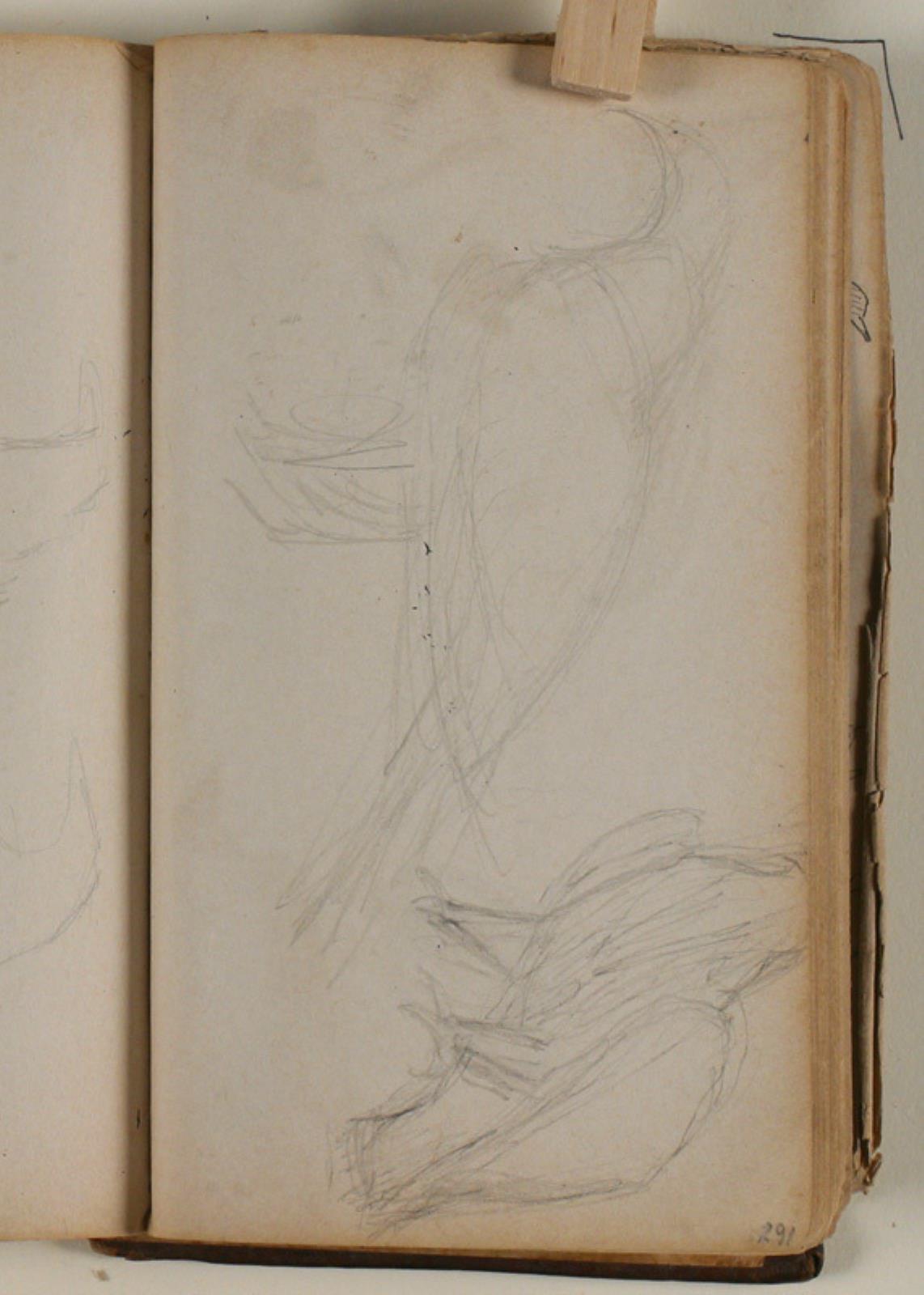 Niels Larsen Stevns, Studier af ørn