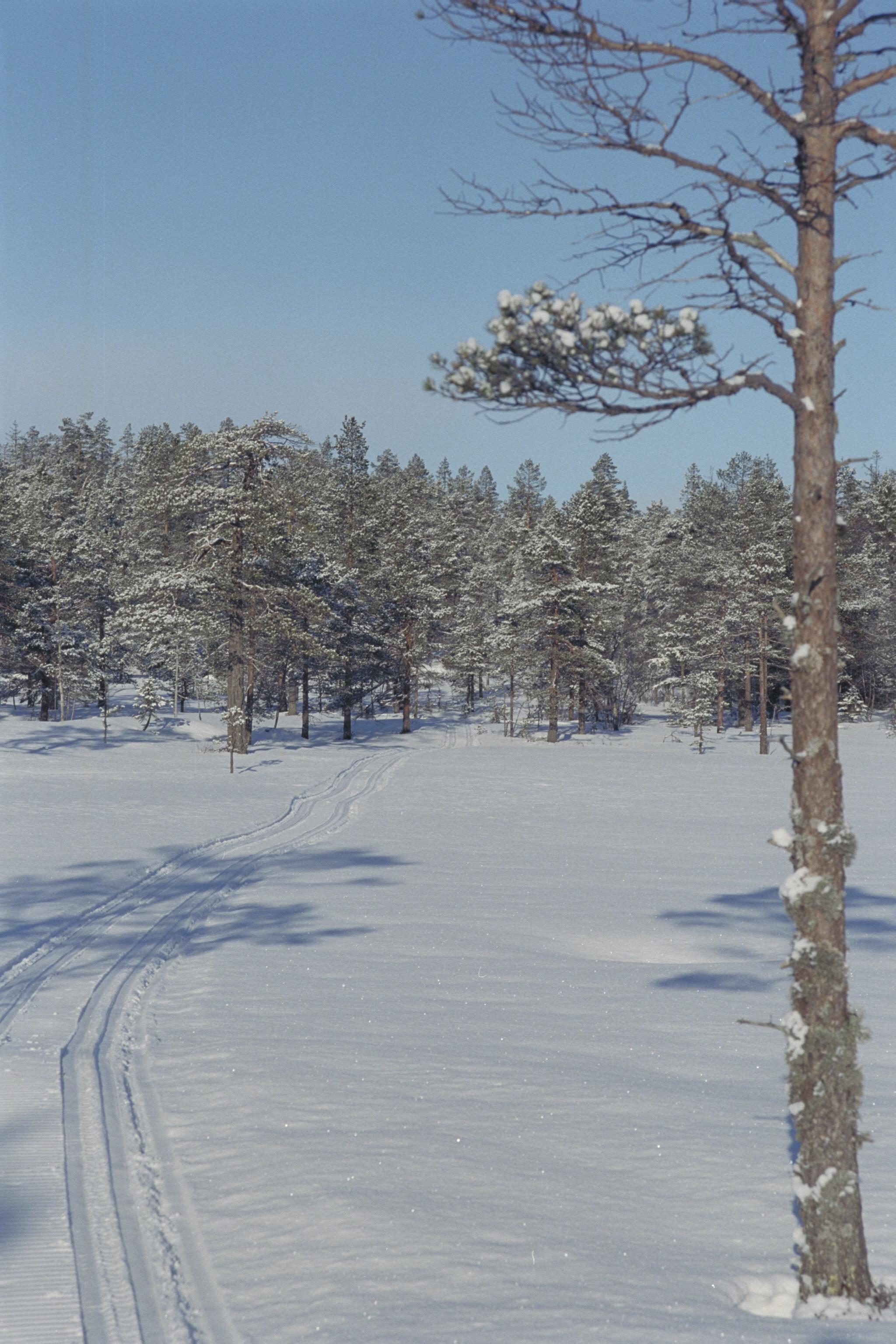 Bengt A Lundberg, Skuleskogens Nationalpark