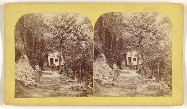 Unknown, [Weyer Cave. Grottoes of the Shenandoah, Va.]
